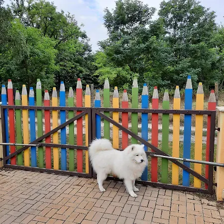 Relax Time Videken Kiskunhalas