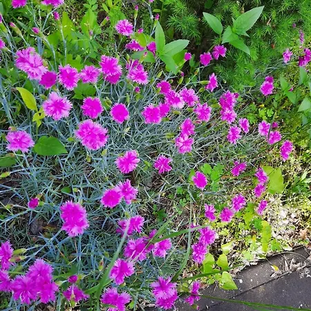 Appartement Relax Time Videken