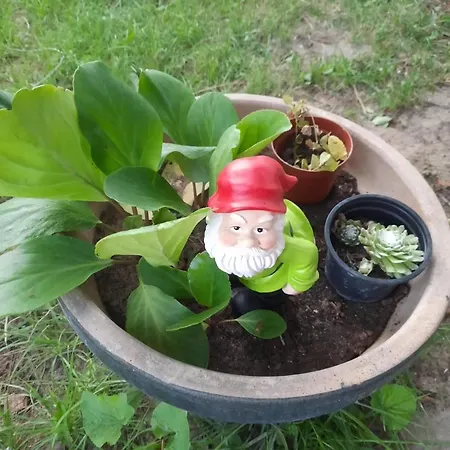 Relax Time Videken Appartement Kiskunhalas