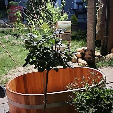 Relax Time Videken Appartement Kiskunhalas