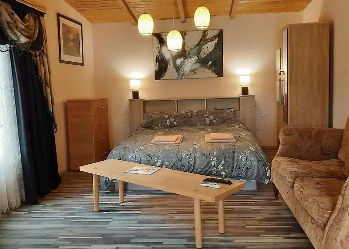 Apartament Relax Time Videken *