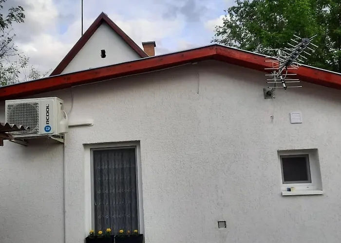 Relax Time Videken Kiskunhalas