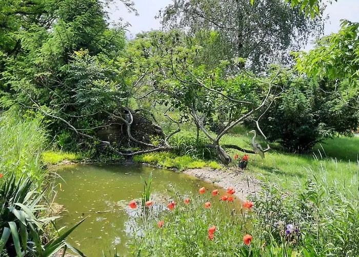 Relax Time Videken Kiskunhalas