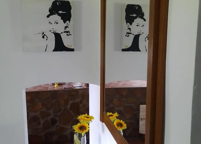 Relax Time Videken *