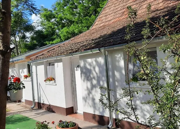 Relax Time Videken Apartament