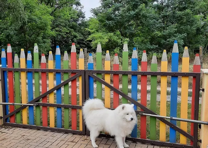 Relax Time Videken Kiskunhalas