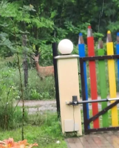 Relax Time Vidéken *