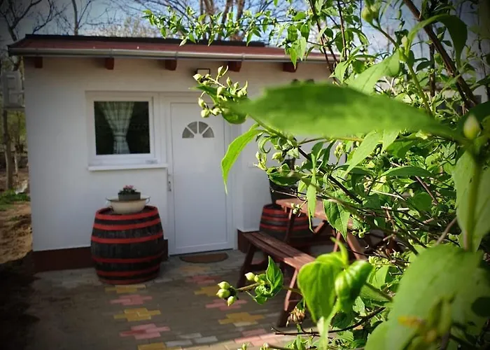 Apartament Relax Time Videken *