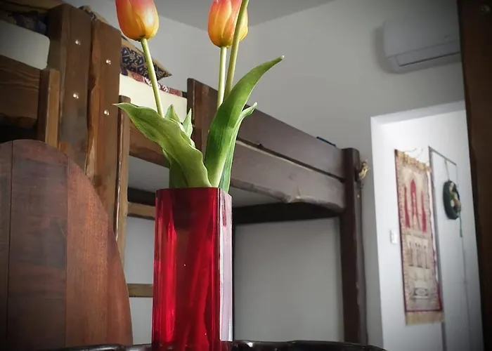 Apartament Relax Time Videken *