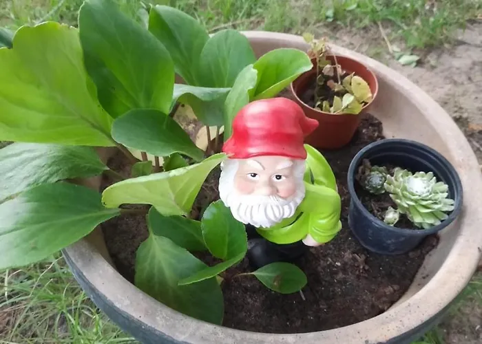 Relax Time Videken Apartament Kiskunhalas