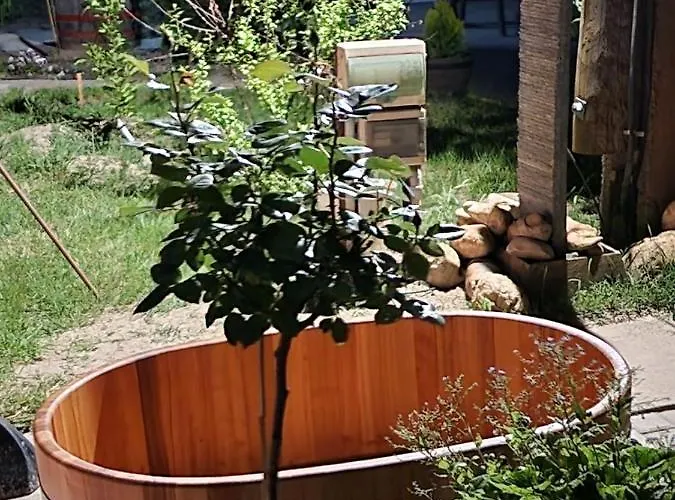 Relax Time Vidéken Apartamento Kiskunhalas